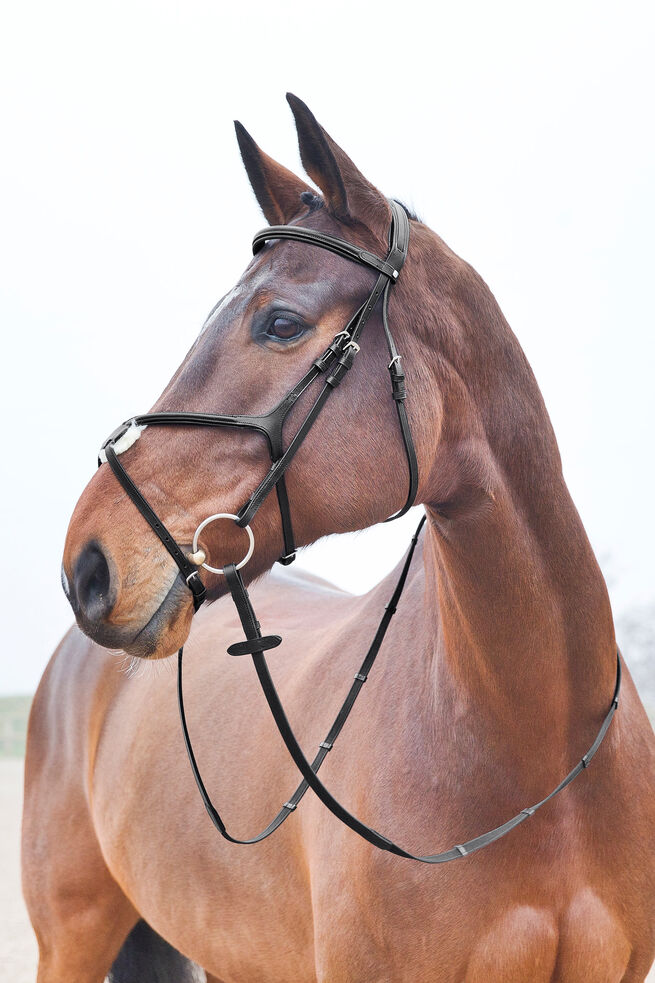 Bridle Article # 4