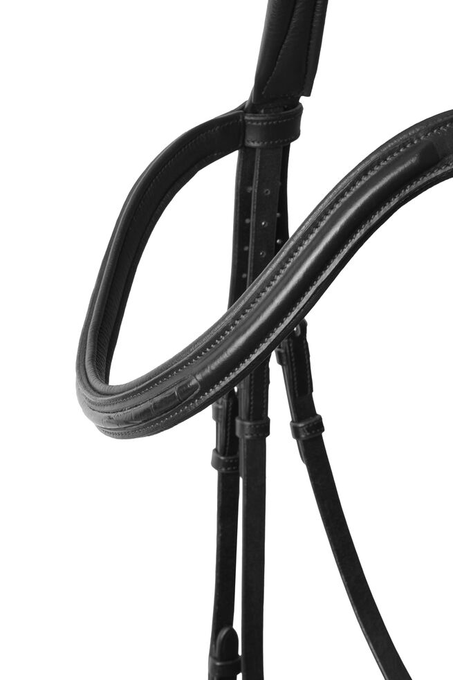 Bridle Article # 2