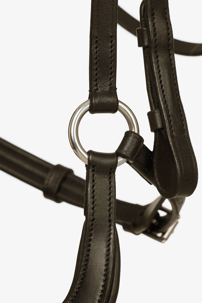 Bridle Article # 5