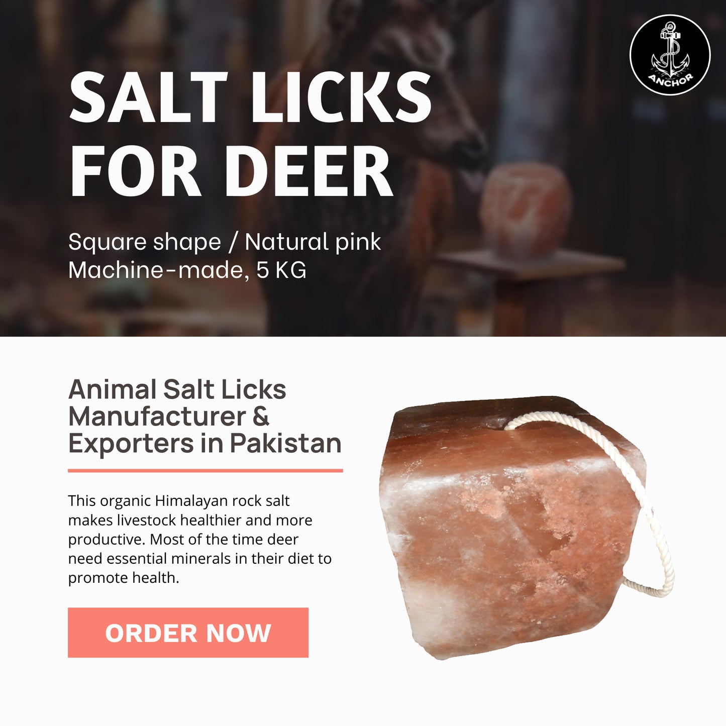 Salt Licks For Deer Mineral Block Large 5kg