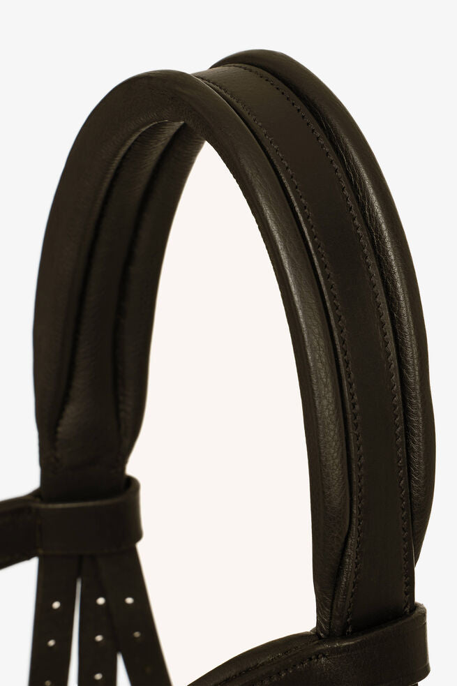 Bridle Article # 5