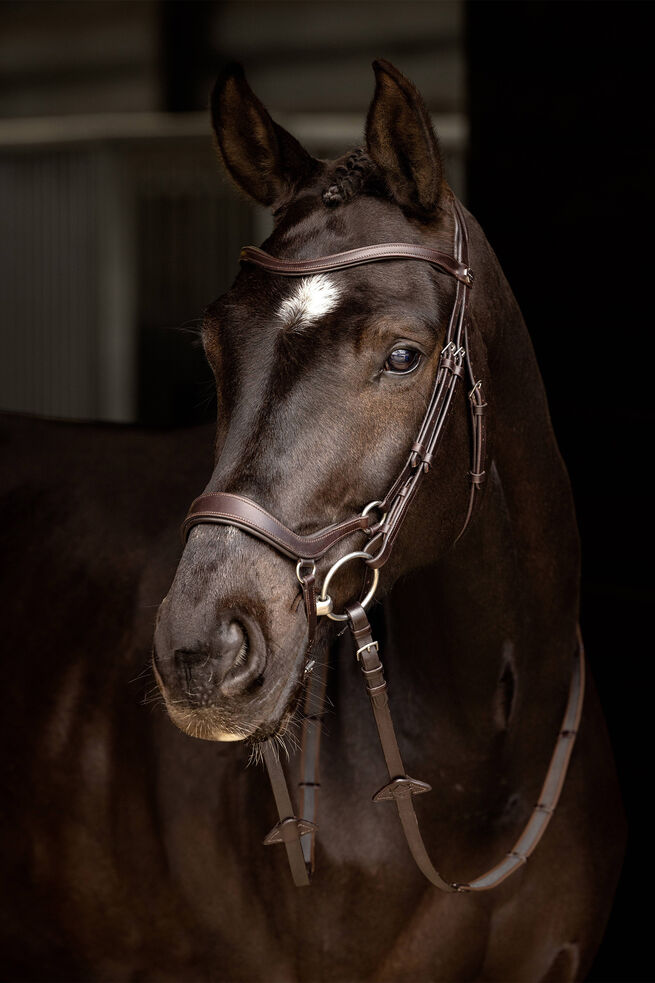 Bridle Article # 5