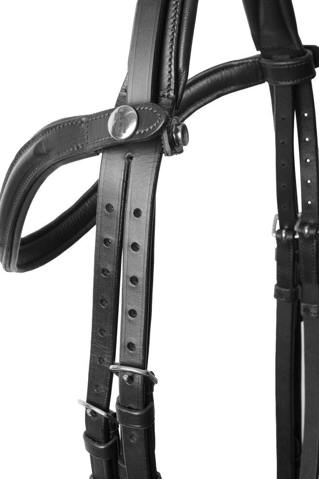 Bridle Article # 2