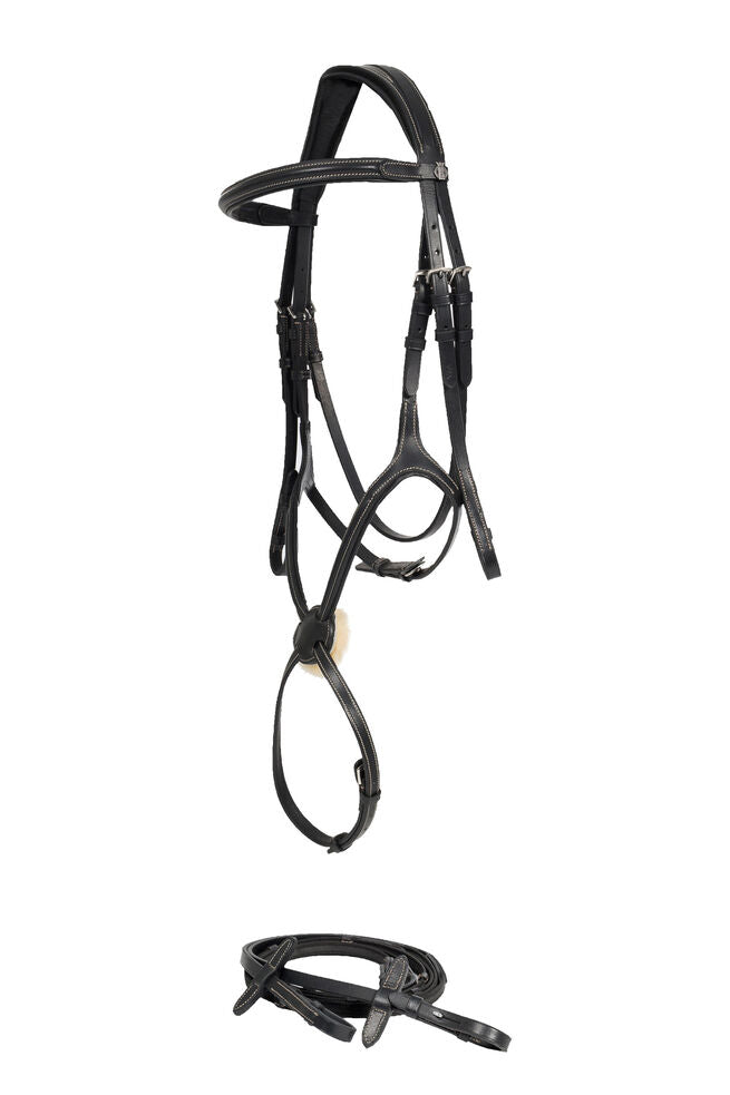 Bridle Article # 4